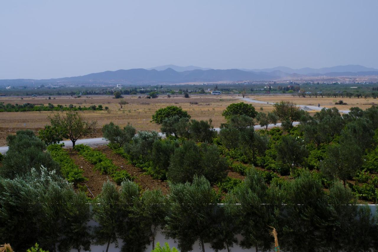 Villa Olivia, Yasmine Hammamet, Bouficha Bagian luar foto