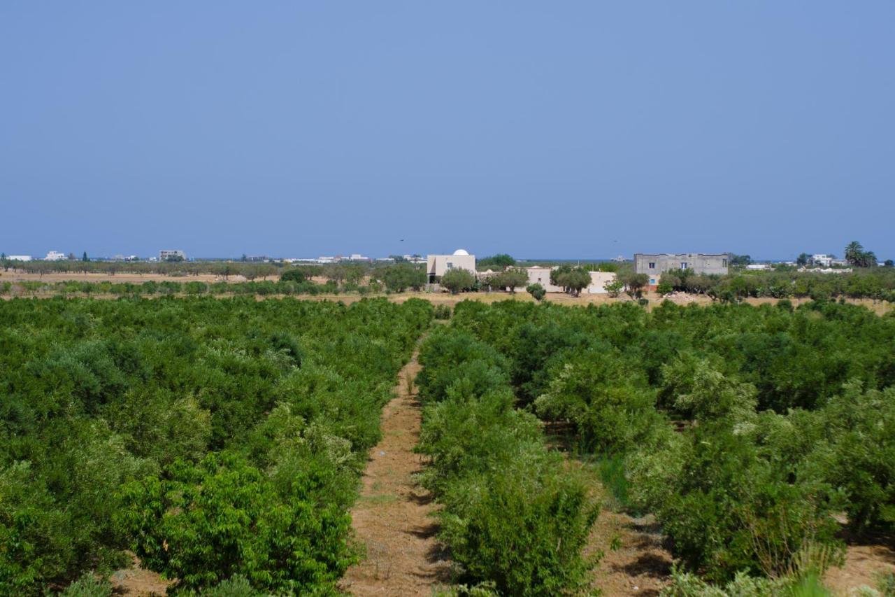 Villa Olivia, Yasmine Hammamet, Bouficha Bagian luar foto