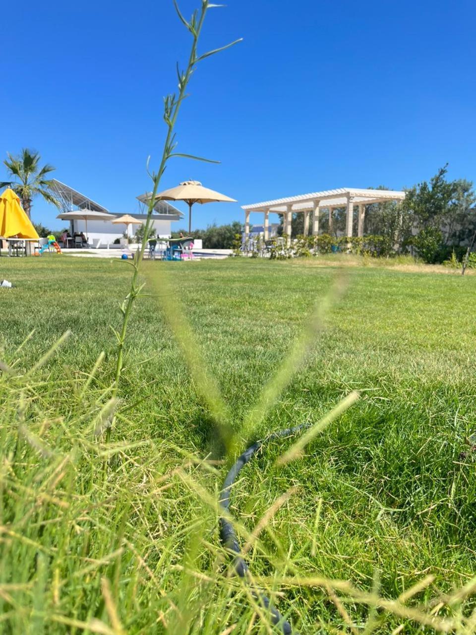 Villa Olivia, Yasmine Hammamet, Bouficha Bagian luar foto