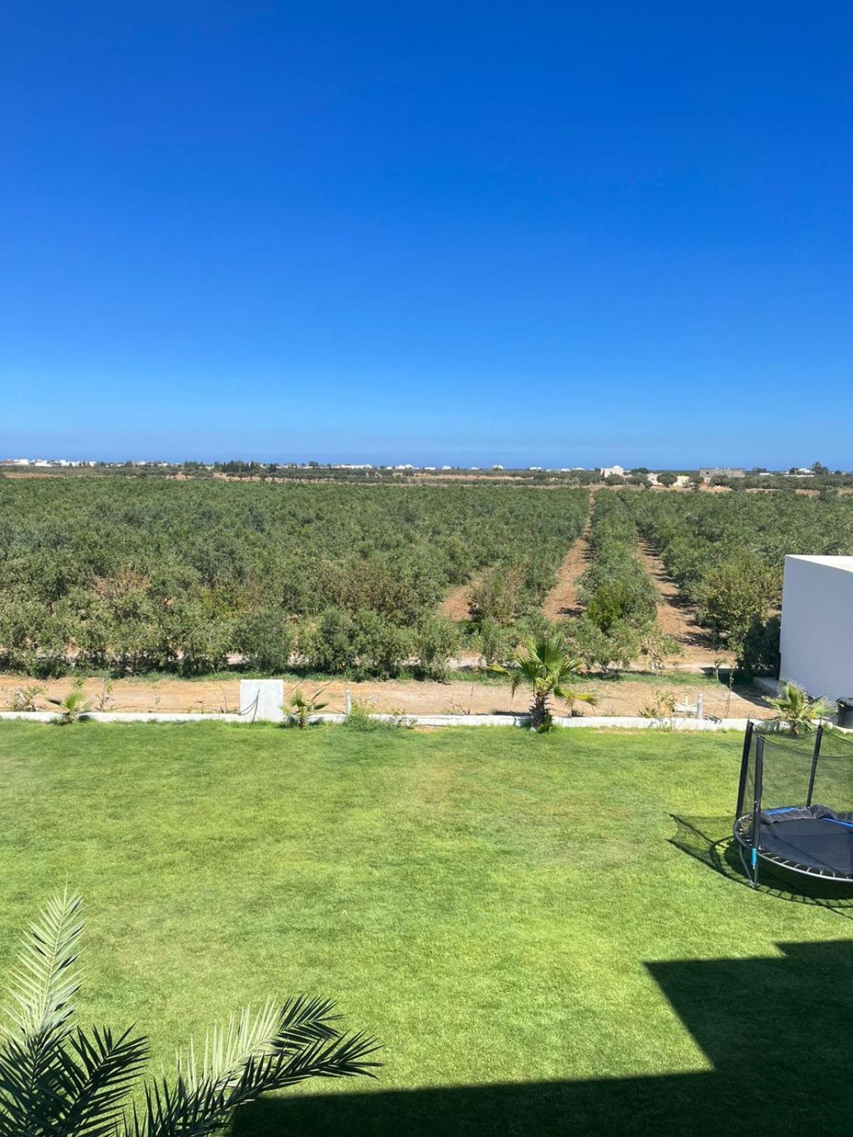 Villa Olivia, Yasmine Hammamet, Bouficha Bagian luar foto
